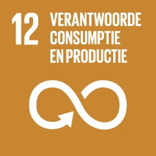 SDG 12 — Verantwoorde consumptie en productie
