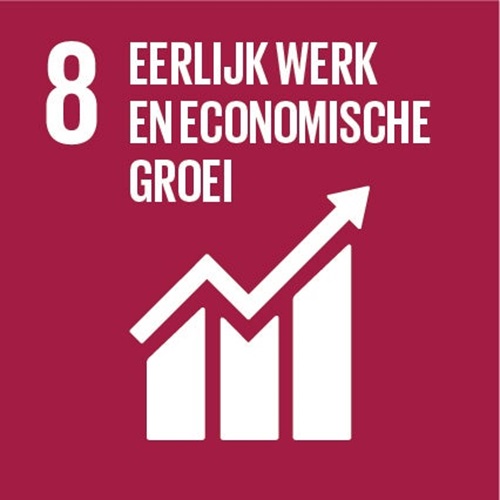 SDG 8 — Waardig werk en economische groei